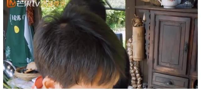 做飯|張藝興做5道菜8個人不夠吃，彭彭幫忙被忽視，黃磊夸贊背后是偏愛