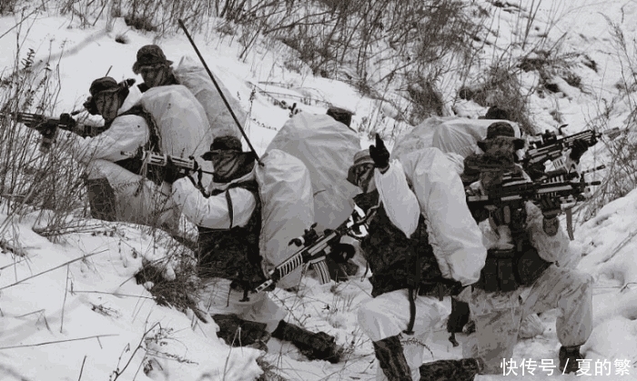 美军|越南战争时，美军为什么不烧山？原因并不是为了人道正义