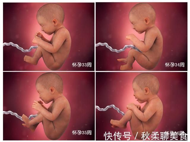 发育|胎儿40周变身记:从0.5厘米受精卵到50厘米宝宝,过程神奇