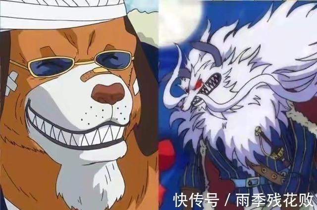 犬岚公爵|海贼王的高光时刻,哈士奇变藏獒,雷神是啤酒肚,变身是越来越丑