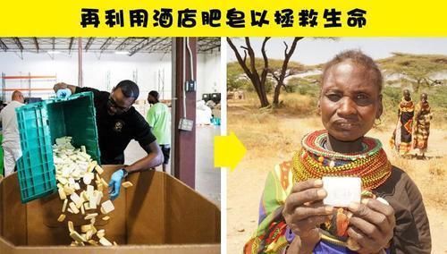 eco 人类为了拯救受伤地球所进行的13个项目