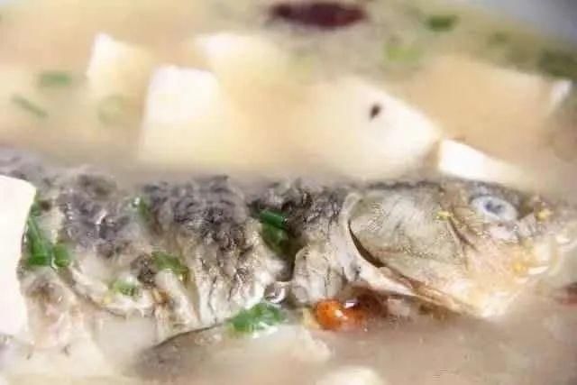 豆腐這樣吃，營養更翻倍！配上“黃金搭檔”，全家老少吃得健康~