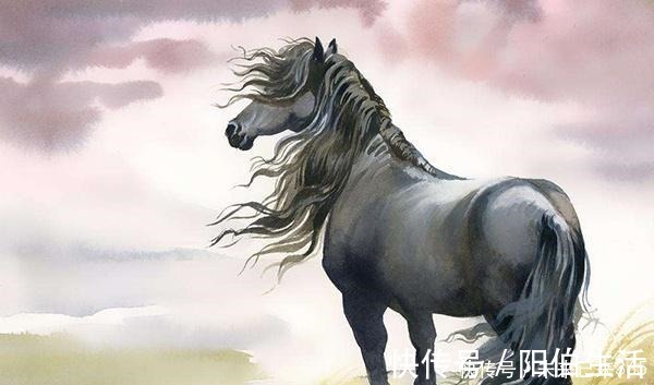 临清|明朝男子家里来一马匹,因此走上人生巅峰,马的来历还是惊人