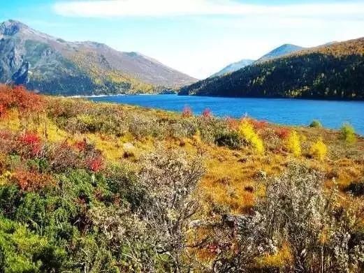 美景|推荐一处川西美景，一年四季都好耍！