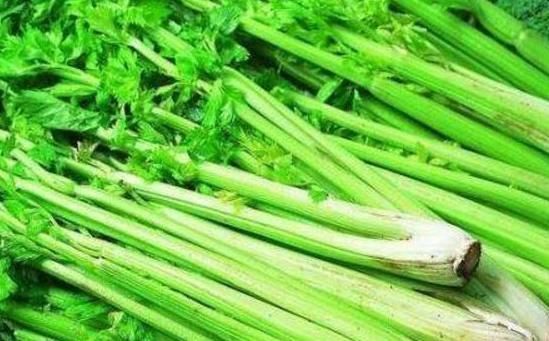 医生提醒看见此种芹菜不要买，更不要吃，现在来了解也不迟
