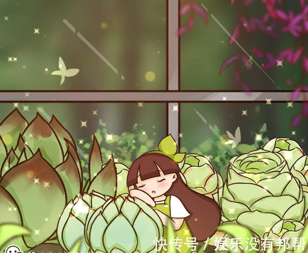 花苞|9月对于养花人来说,是个“幸运月”,6个好消息马上就来