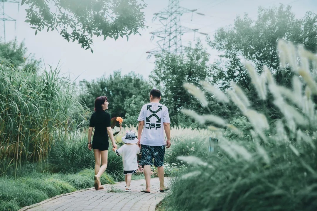 朱子家训|十年后,有出息的孩子都来自这7种家庭,请家长都读一读