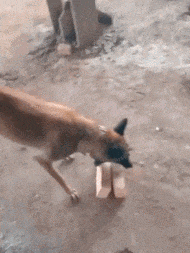 |搞笑GIF:日防夜防闺蜜难防