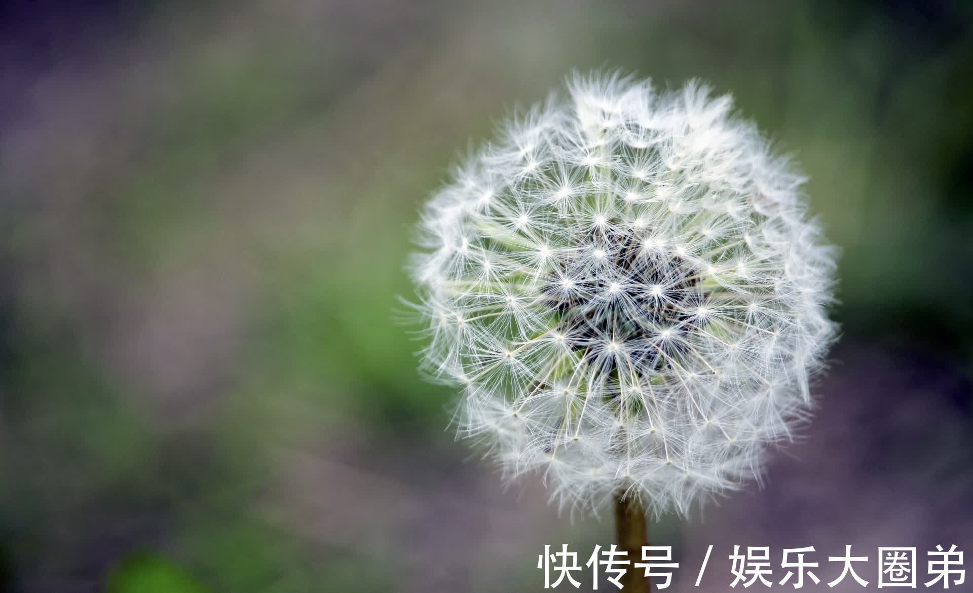 天蝎座|智商很高，心眼也不少的星座，尤其天蝎座，冷漠又阴暗，让人惧怕