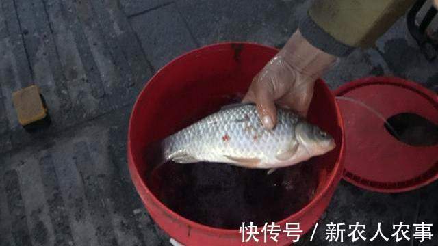 江苏一大爷钓鱼上瘾，严寒中从凌晨守到下午，老伴的做法令人感动