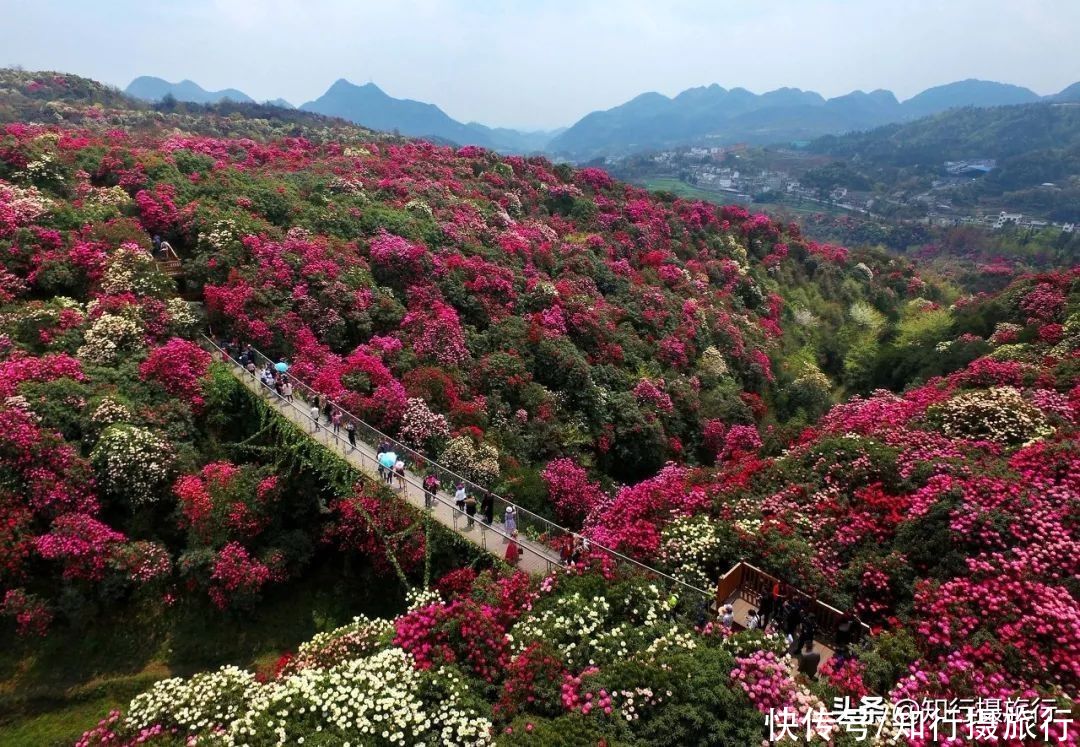 珍藏无数极致美景，最近红遍抖音的小众目的地：贵州