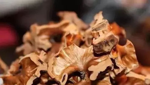 花盆里加这些东西,再也不怕花卉烂根黄叶了