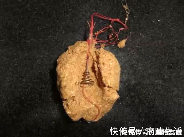 钓鱼|浮漂有动作,提竿却不中鱼,这种情况该如何应对