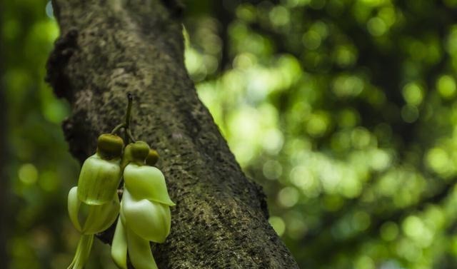 戈兵|一个有教养的人,总会在这四个方面做得很好