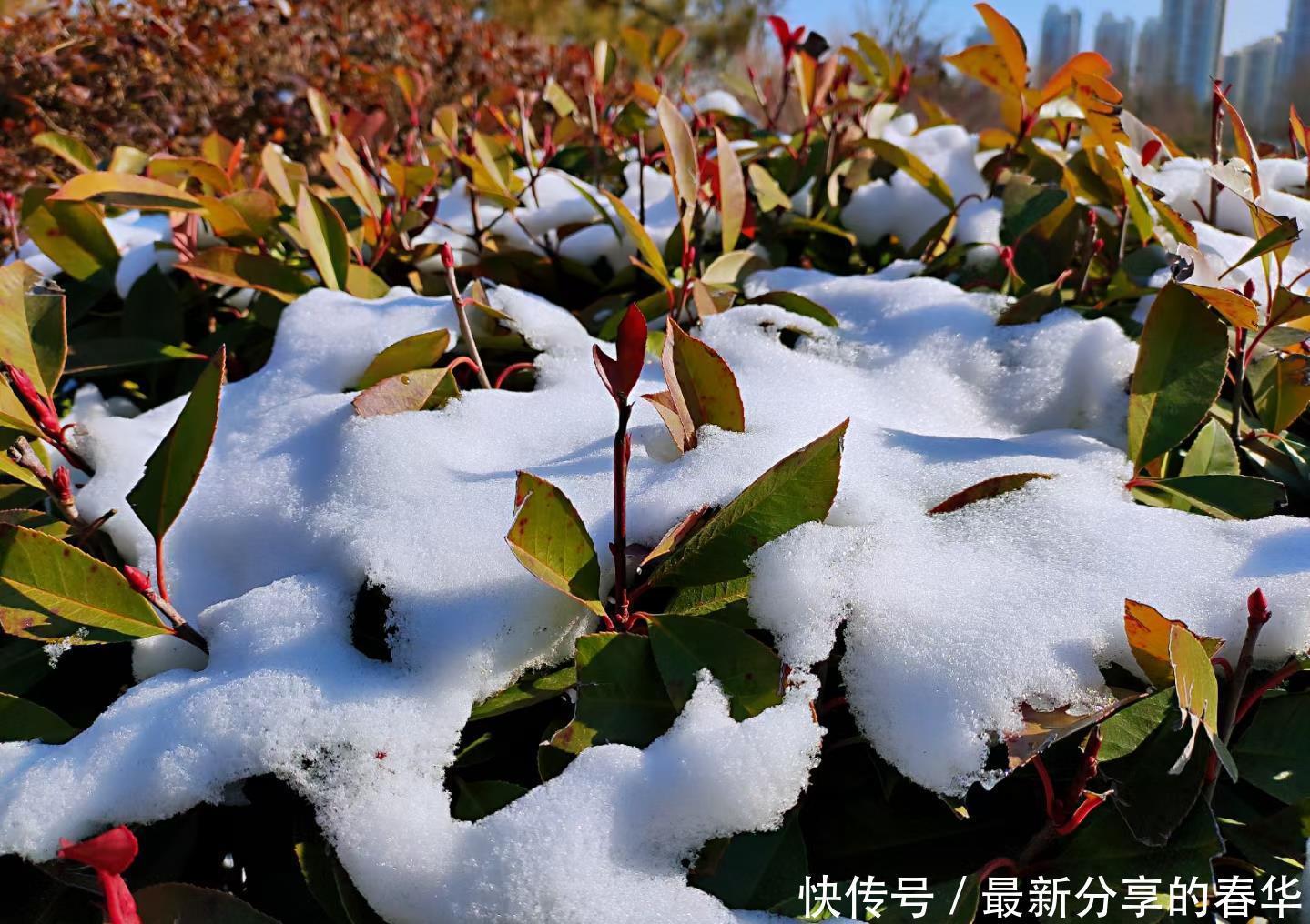 今日小寒，北方有“小寒胜大寒，常见不稀罕”的说法，有道理吗？