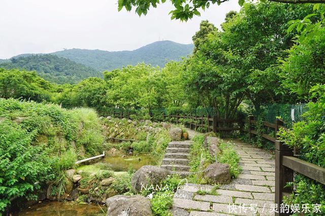 戴佩妮|到阳明山来看海芋，到阳明山来泡温泉，台北最出名的度假胜地