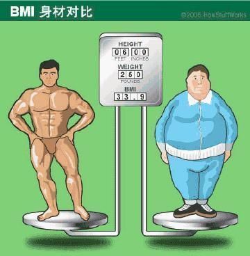 腰臀比|你真的肥胖吗?3个方法教你判断,在家就能自己检测健康水平