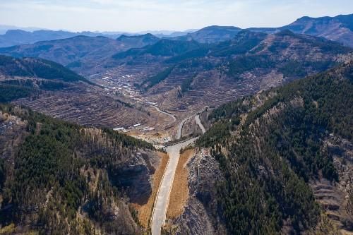 探寻大山深处的济南金刚纂村，盘山公路蜿蜒曲折，村里有两棵古树