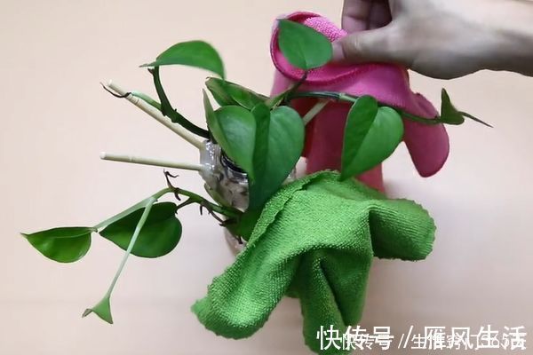 小窍门|塑料瓶上插几根筷子,放在家里好看又实用,赶快动手做一个吧!