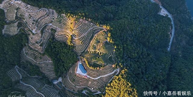 福建生态小镇，山连着山，水连着水，藏着一片世外桃源的茶山