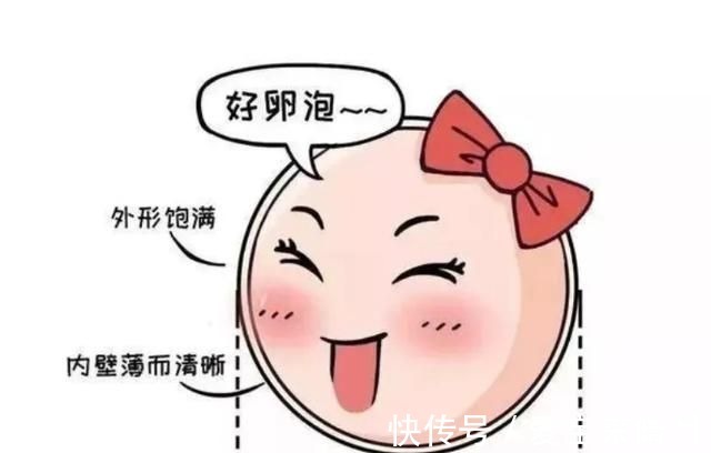 器质性|你的卵达标到优质的卵泡了吗?