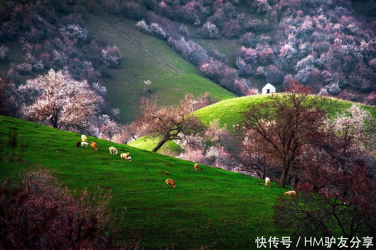 中年|春天最适合小住三五天的12个地方，错过这些美景，又要等一年