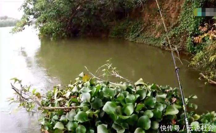 男子选这样的地方钓鱼, 划着艇子随便抛竿都有鱼追饵