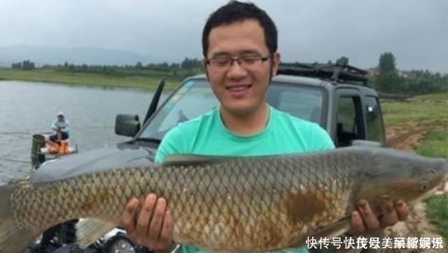 三番五次告诉你，鱼越大越喜欢这些饵，每试用一次都能钓过瘾