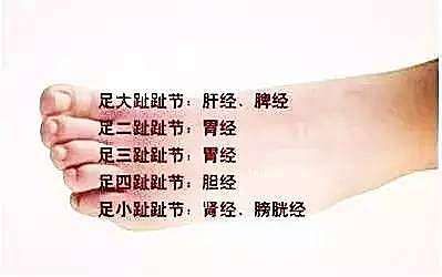 微循环|睡前足背拉一拉，通经活络，比按摩有效，方便还好学！