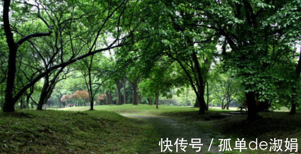 梅蕊$康熙皇帝莲池听雨,心情大好写下一诗,开篇2句就美得令人心醉