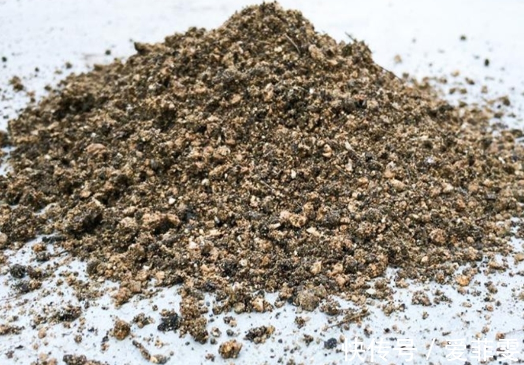 在家自制营养土，松软透气养分足，轻松养好各种花