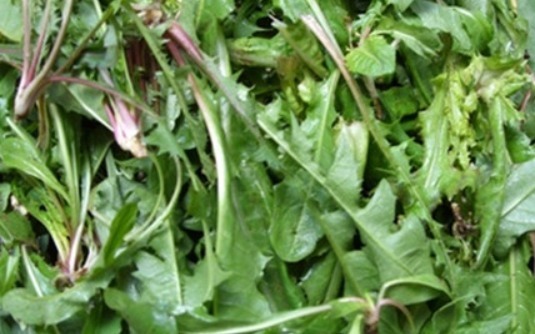 营养价值|这些野菜营养价值极高，小朋友最爱吃，增强免疫力，一年少生病！