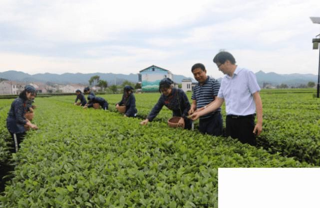 桃源职业中专与湖南百尼茶庵茶业有限公司举行校企合作签约暨挂牌仪式