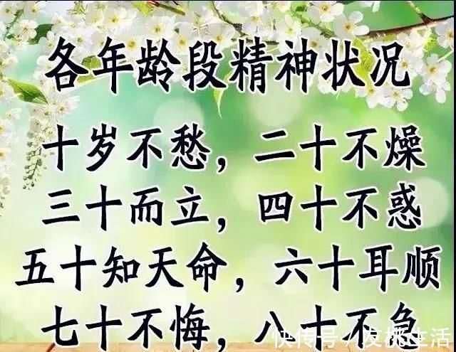 小一个样$20-80岁的人生顺口溜,话虽不好听,却很真实,谁编的真有才