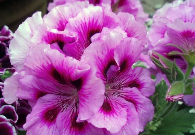 人生@苏轼这首诗告诉我们逆境当中,善于把握机会,总能重登巅峰