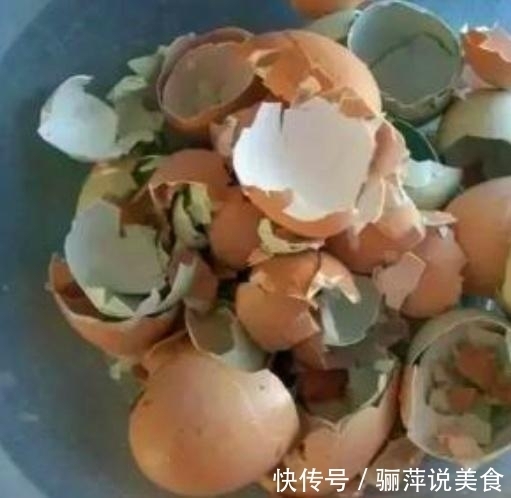 立冬,花盆挖洞埋下3种“宝贝”,花、叶蹭蹭冒,养啥都能“旺”