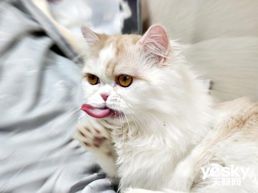 ultr“白天不懂夜的黑” 三星Galaxy S22 Ultra:我却更懂夜的美