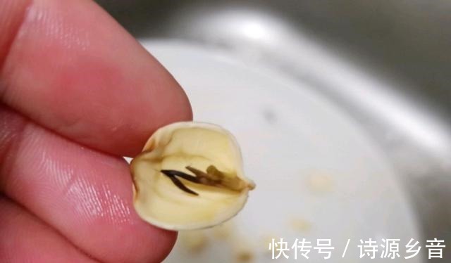 红糖|入秋后别忘给家人煮这粥，香甜软糯，早餐吃最好，暖和又管饱！