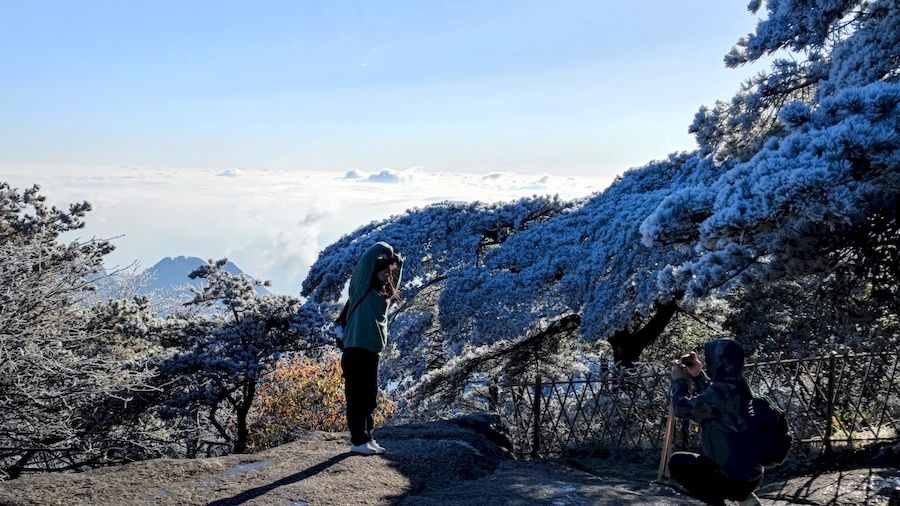 黄山风景区|零下10．3℃ 安徽黄山现大面积雾凇景观