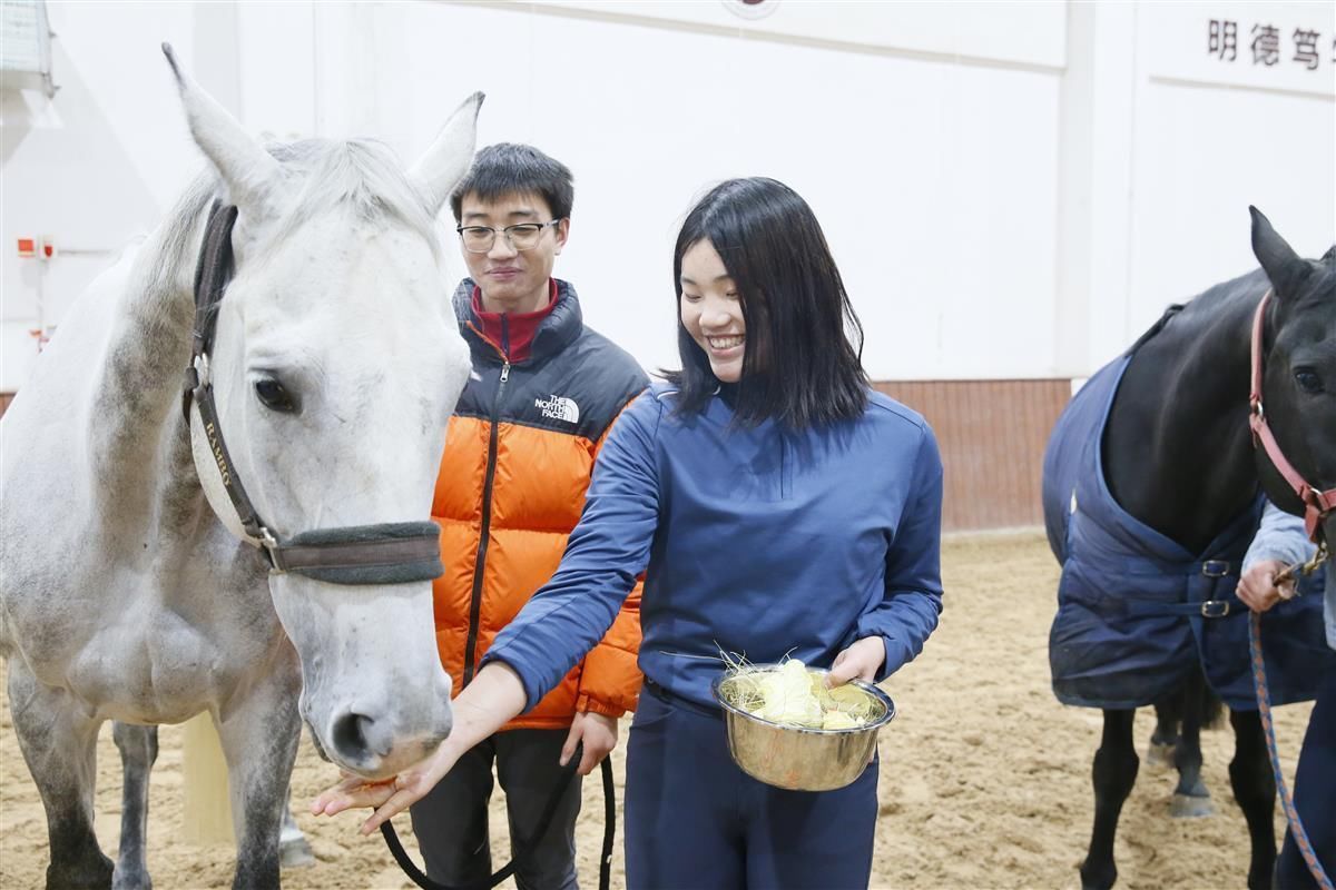 方糖|用胡萝卜、方糖“包饺子”武汉商学院留校学生给马儿过小年