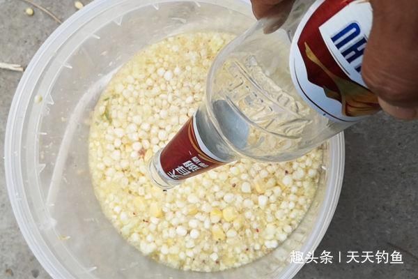 野钓|自然水域野钓大鱼，用了这些招数，效果出奇的好，大鱼连竿上