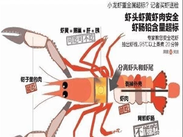 广告保险公司排名前10强,保195种疾病.不分组多次赔付,累计赔付高达390万.^^多重保费豁免,可选身故责任.慧择网14年...