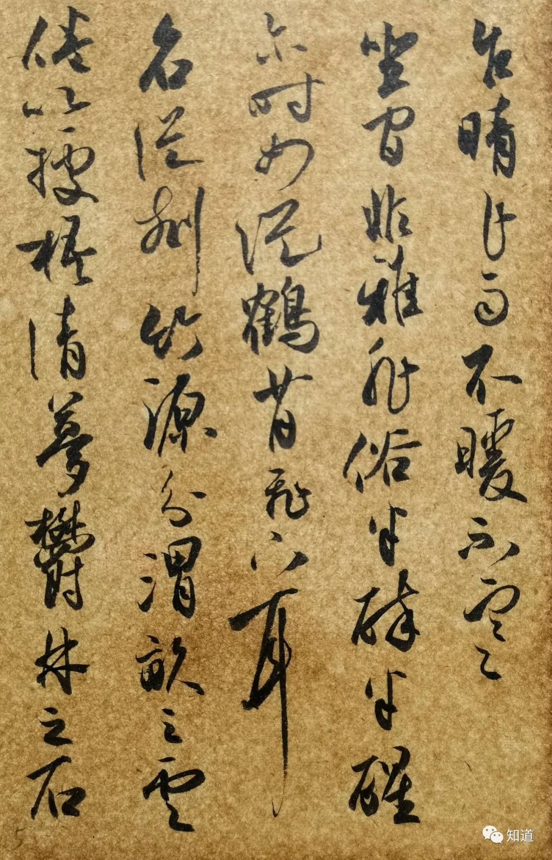 捷径#学书法,不临帖想走捷径,反映了人的劣根性