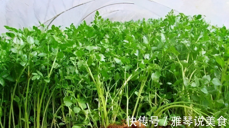 维生素e|女人不希望脸上有皱纹,常吃3种食物,养护肝脏,美容抗衰老!