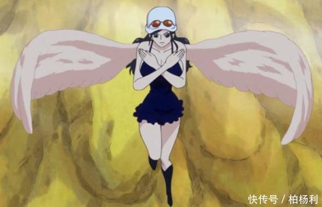 不能飞的果实,他们是如何开发出飞行能力的四分五裂果实了解一下