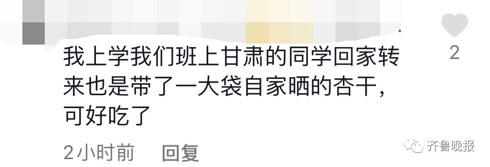 冬枣|来了来了，山东室友返校带着60斤冬枣来了！评论区可太暖了