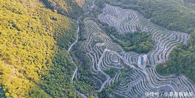 福建生态小镇，山连着山，水连着水，藏着一片世外桃源的茶山