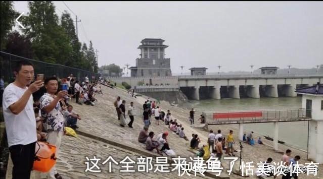 骆马湖|万人抢鱼:宿迁骆马湖关闸,引来万人抢鱼,现场人比鱼多