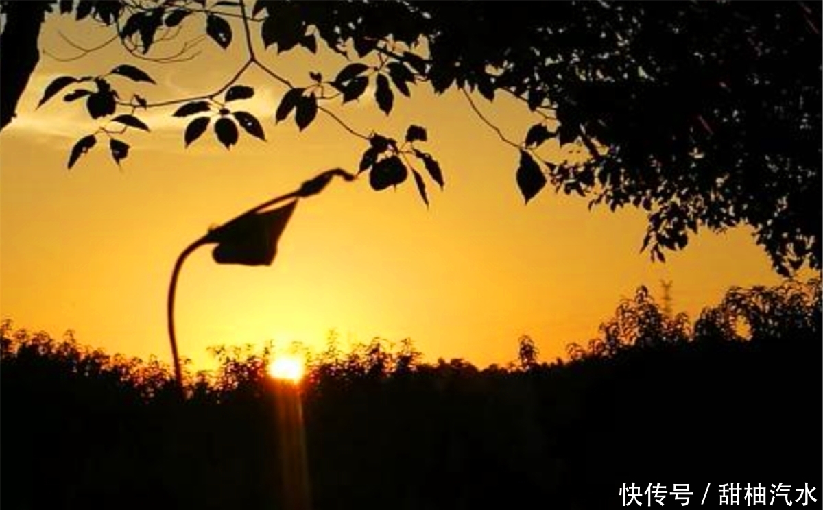 年轻人|民间俗语:“早起三光,晚起三慌”,是啥意思?年轻人不妨多看看