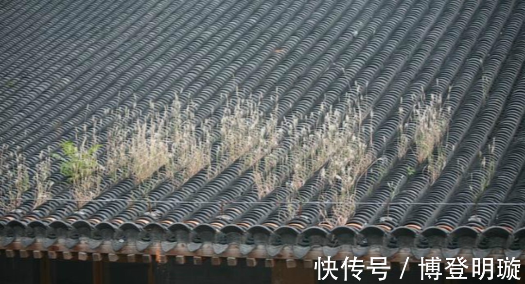 王安石!王安石很经典的一首禅诗,初读觉得很一般,长大后才真正读懂!